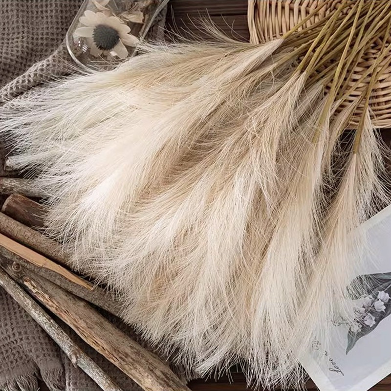 5개/세트 인조 꽃 팜파스 그래스 장식 인조 갈대 드라 - Pampas Grass Decor 리뷰 및 가격