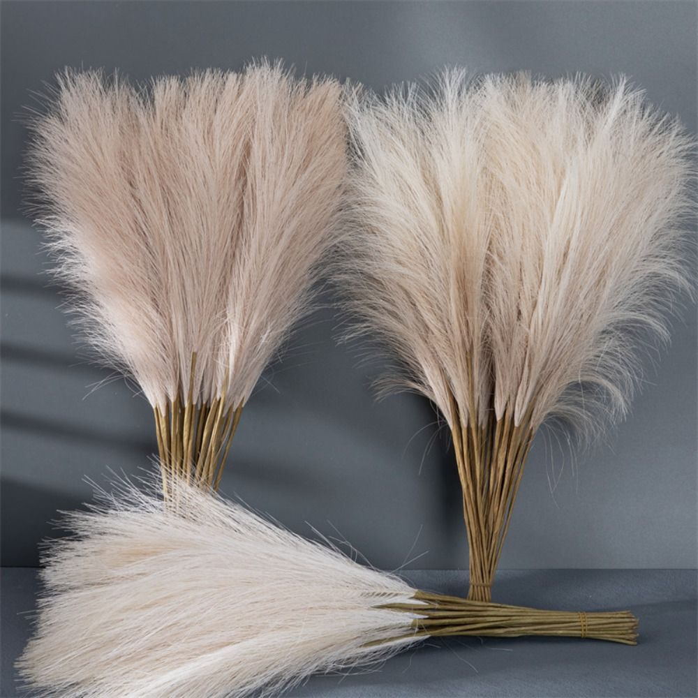 푹신한 팜파스 그래스 인조 식물 꽃 10개 세트 심플  - Pampas Grass Decor 리뷰 및 가격