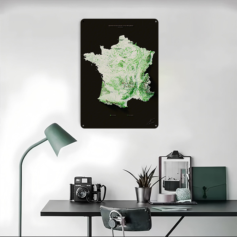 마시프 포레스티에르 프랑? ?ais 포스터 맞춤형 벽  - Home Decor Ai Free 리뷰 및 가격